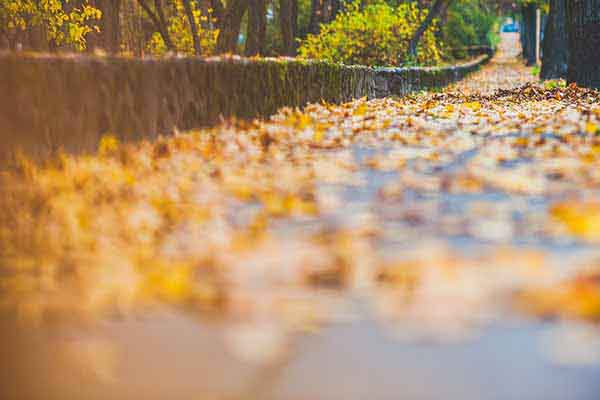 中国铝土矿进口主力为何是几内亚？